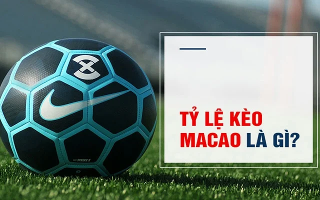 Tỷ lệ kèo macao – Bật mí cách chiến thắng trong cá cược 