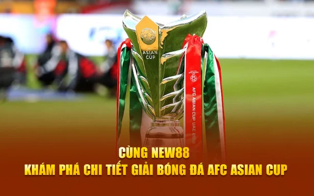 Giải Bóng Đá AFC Asian Cup – Cùng New88 Khám Phá Chi Tiết