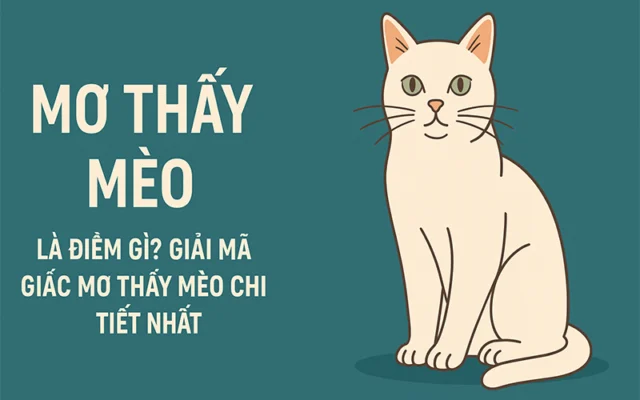 Mơ Thấy Mèo Là Điềm Gì? Giải Mã Giấc Mơ Thấy Mèo Chi Tiết Nhất