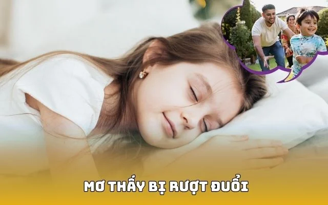 Mơ Thấy Bị Rượt Đuổi Đánh Con Ba Càng Đề Nào Để Vào Bờ?