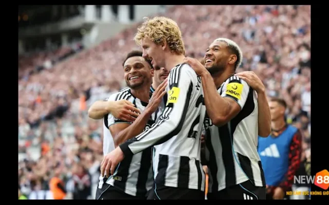 Liệu Newcastle có thể khôi phục sức mạnh trước Bradford City?