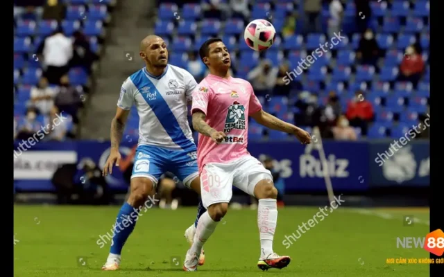 Trận đấu Puebla vs Pachuca: Dự đoán tỉ số và nhận định trước trận