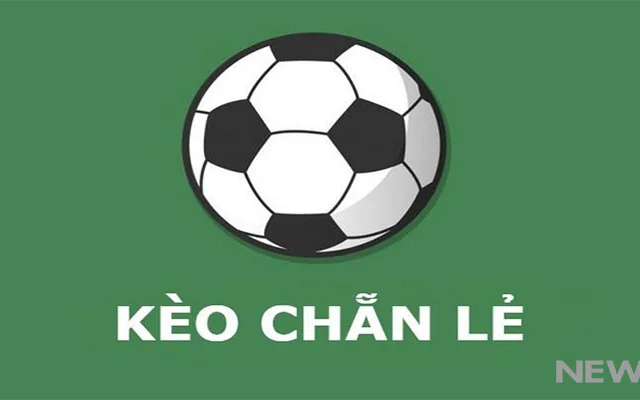 Cách đặt kèo chẵn lẻ: Bí quyết soi kèo hiệu quả cho người mới New88